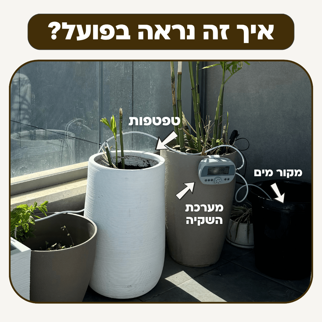 בקר השקיה אוטומטי עם חיישן לחות מובנה + קיט השקיה - רוטין (ירוק במרפסת לשעבר)