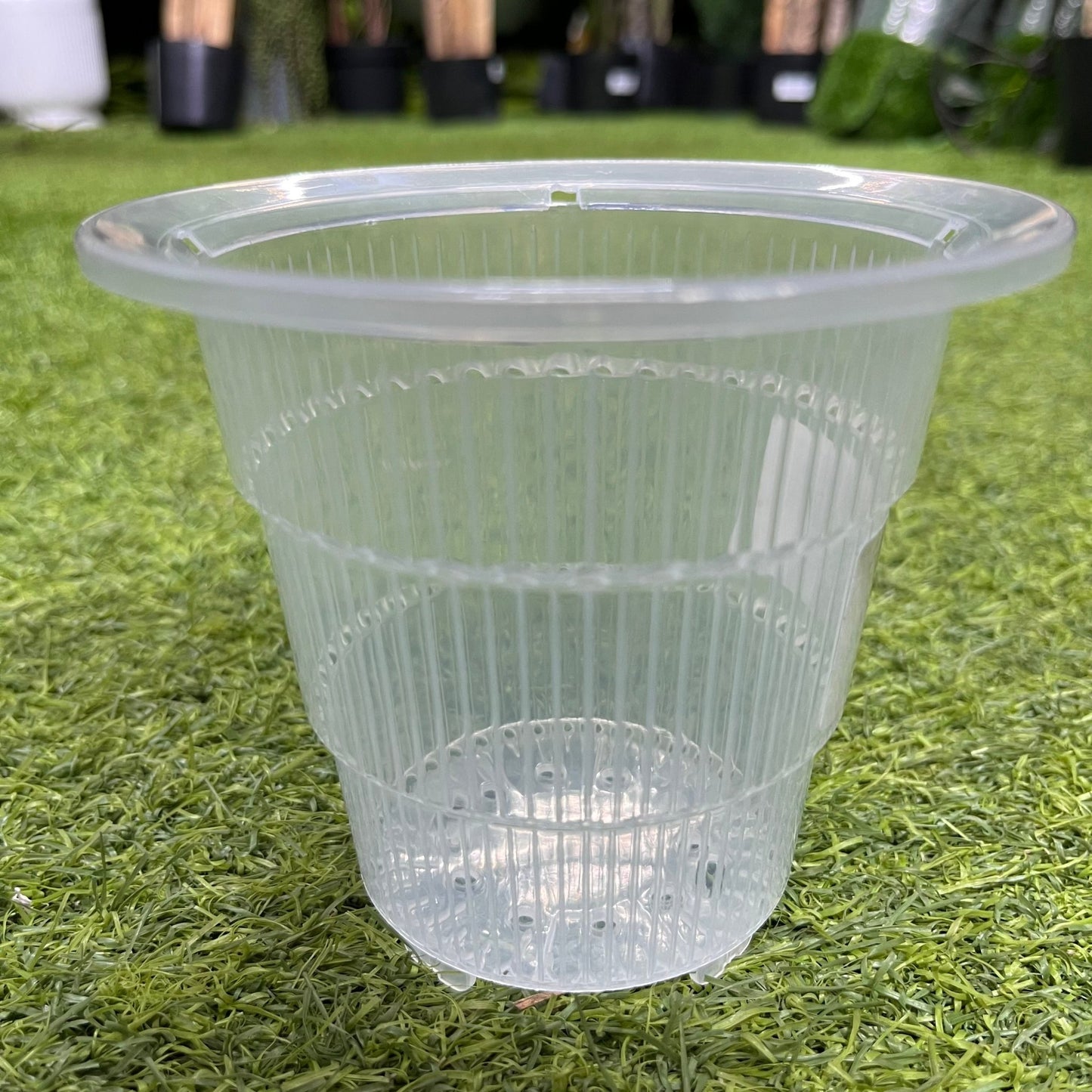 עציץ סחלבים במגוון גדלים - רוטין (ירוק במרפסת לשעבר)