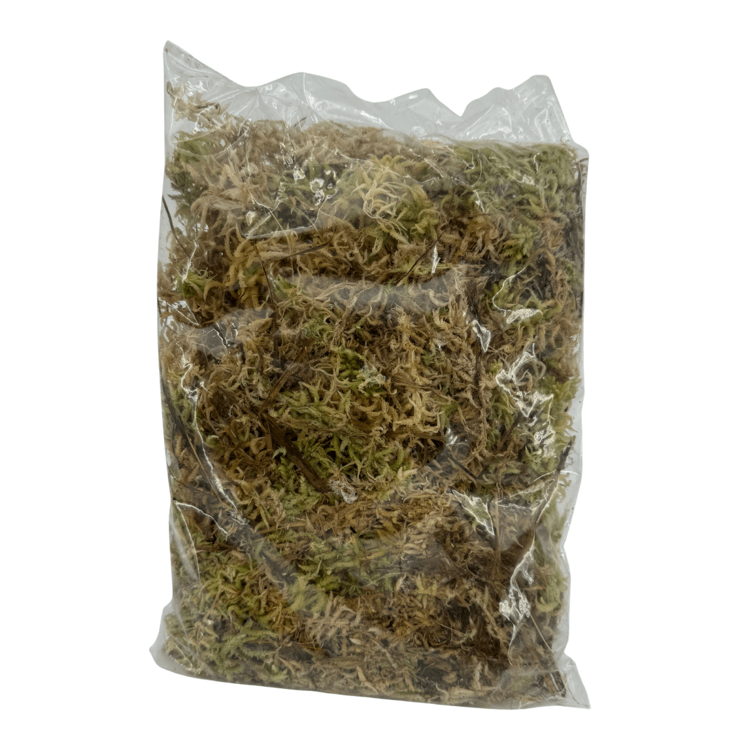 ספגנום מוס באיכות פרימיום 2 ליטר - רוטין (ירוק במרפסת לשעבר)