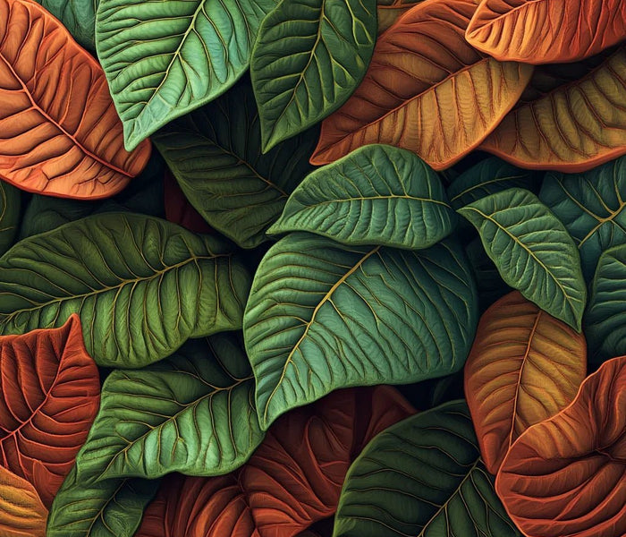 המדריך המקיף לגידול אפילנדרה (Aphelandra squarrosa) 🌿