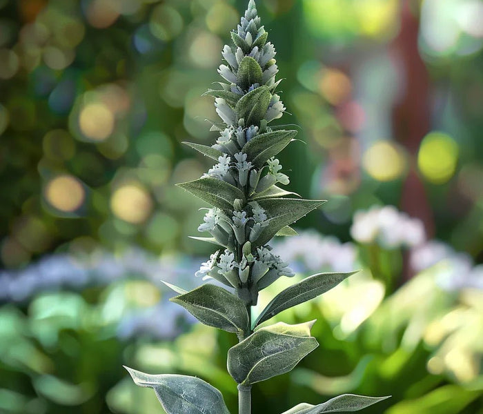 המדריך המקיף לגידול פכיסטכיס (צמח הסוכריה) 🍭