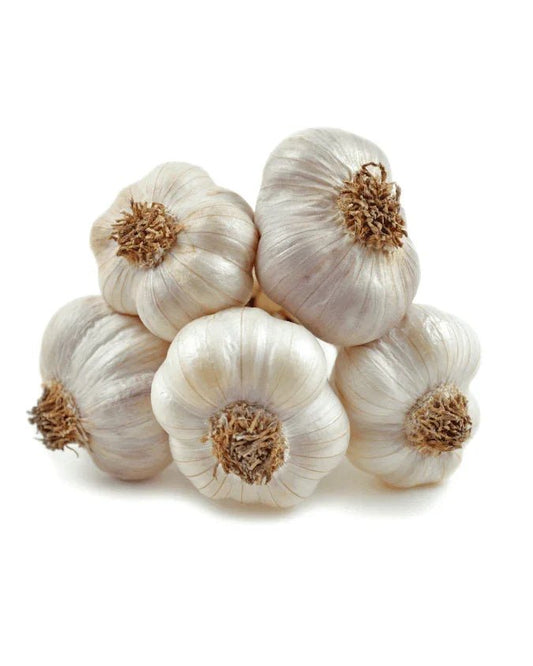 המדריך המקיף לגידול שום (Allium sativum) 🧄 - רוטין (ירוק במרפסת לשעבר)