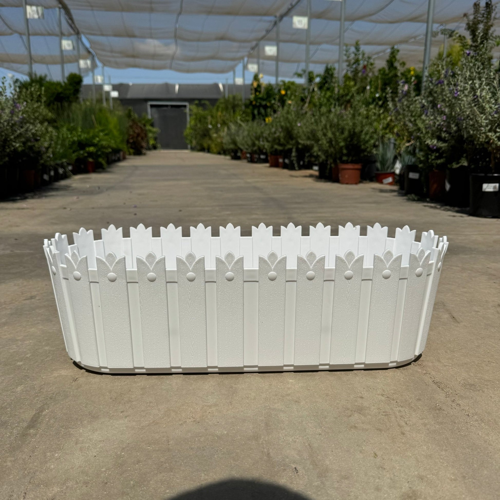 30 & 50 אדנית מלכותית מעוצבת רוחב - רוטין (ירוק במרפסת לשעבר)