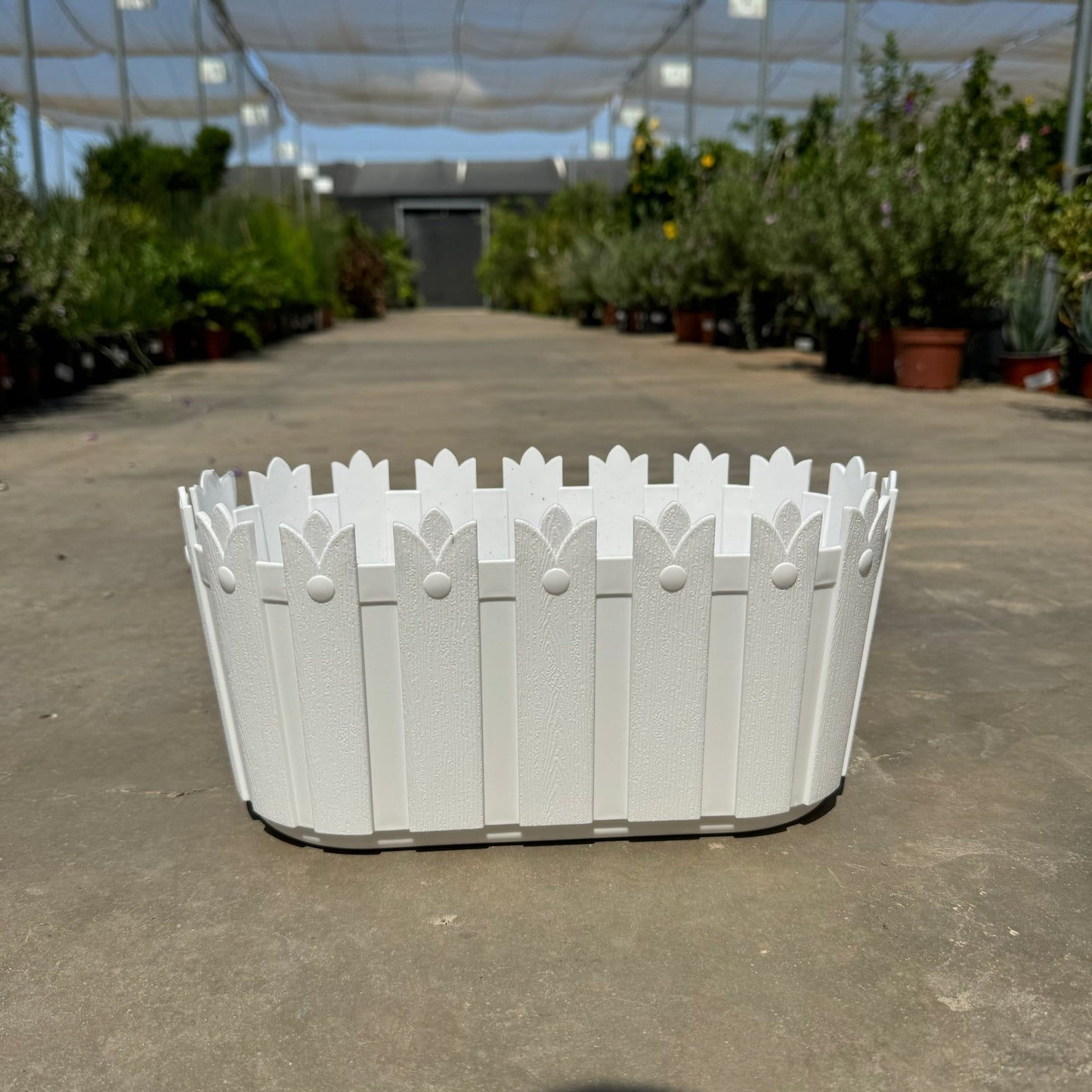 30 & 50 אדנית מלכותית מעוצבת רוחב - רוטין (ירוק במרפסת לשעבר)