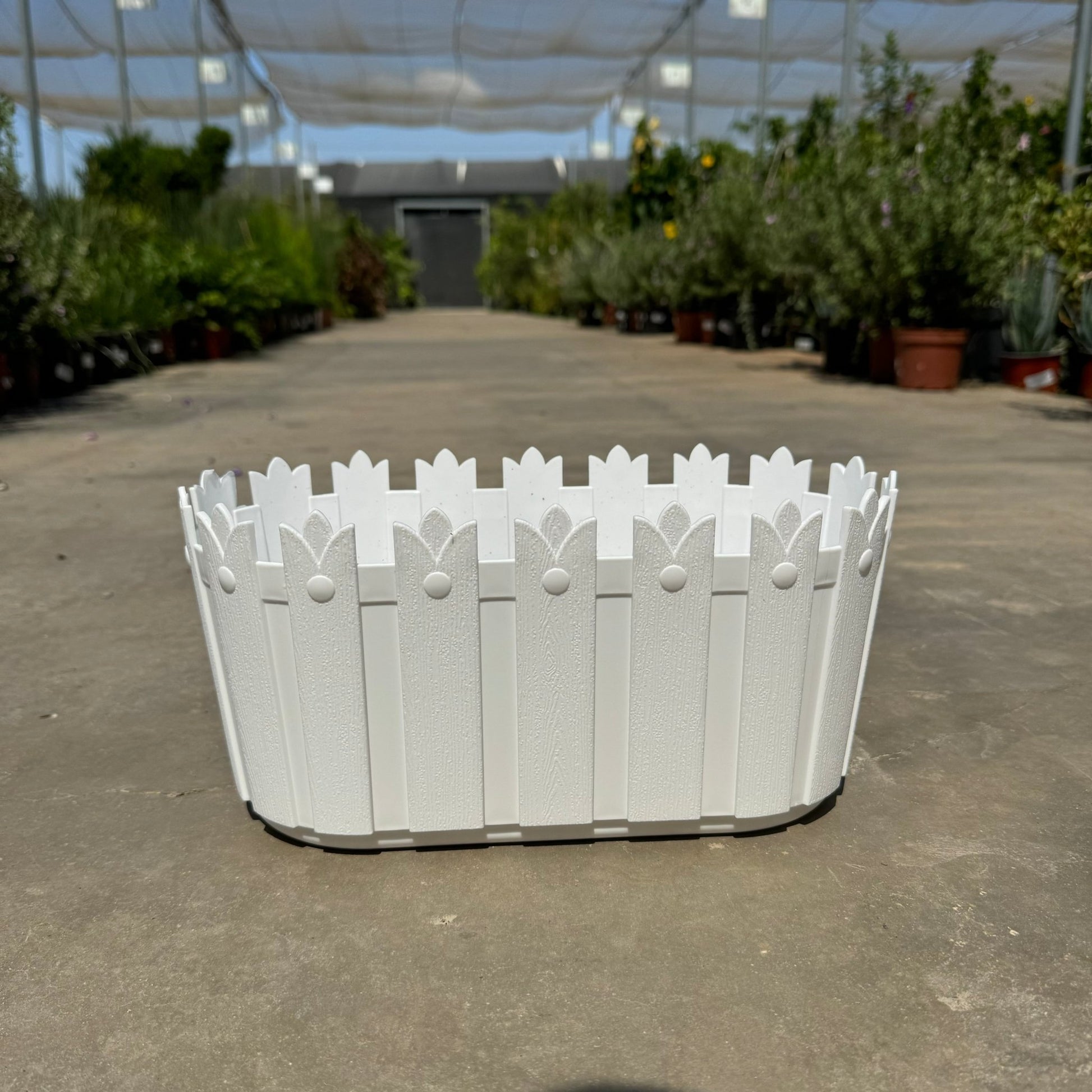 30 & 50 אדנית מלכותית מעוצבת רוחב - רוטין (ירוק במרפסת לשעבר)