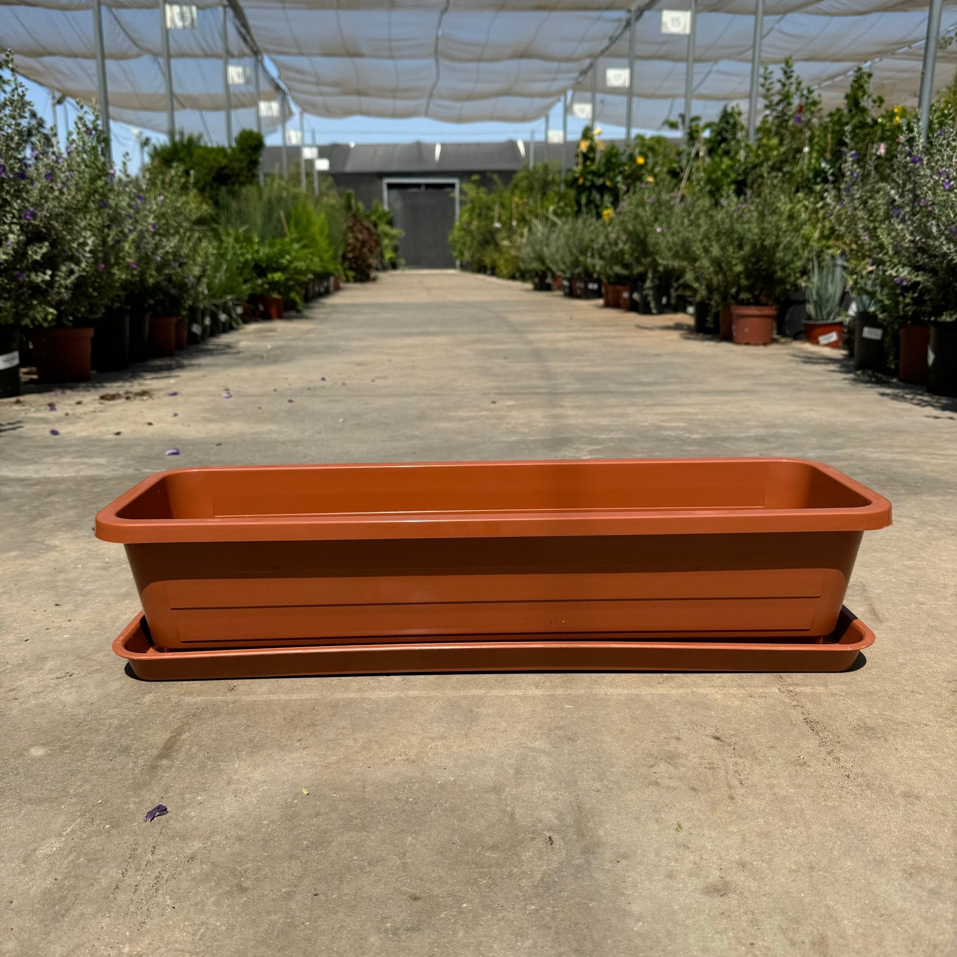 40 / 60 אדנית בייסיק מעוצבת רוחב - רוטין (ירוק במרפסת לשעבר)