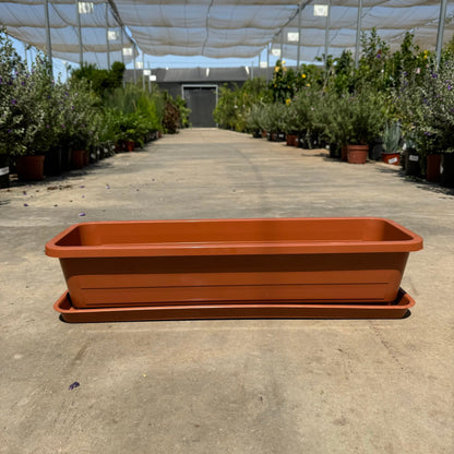 40 / 60 אדנית בייסיק מעוצבת רוחב - רוטין (ירוק במרפסת לשעבר)