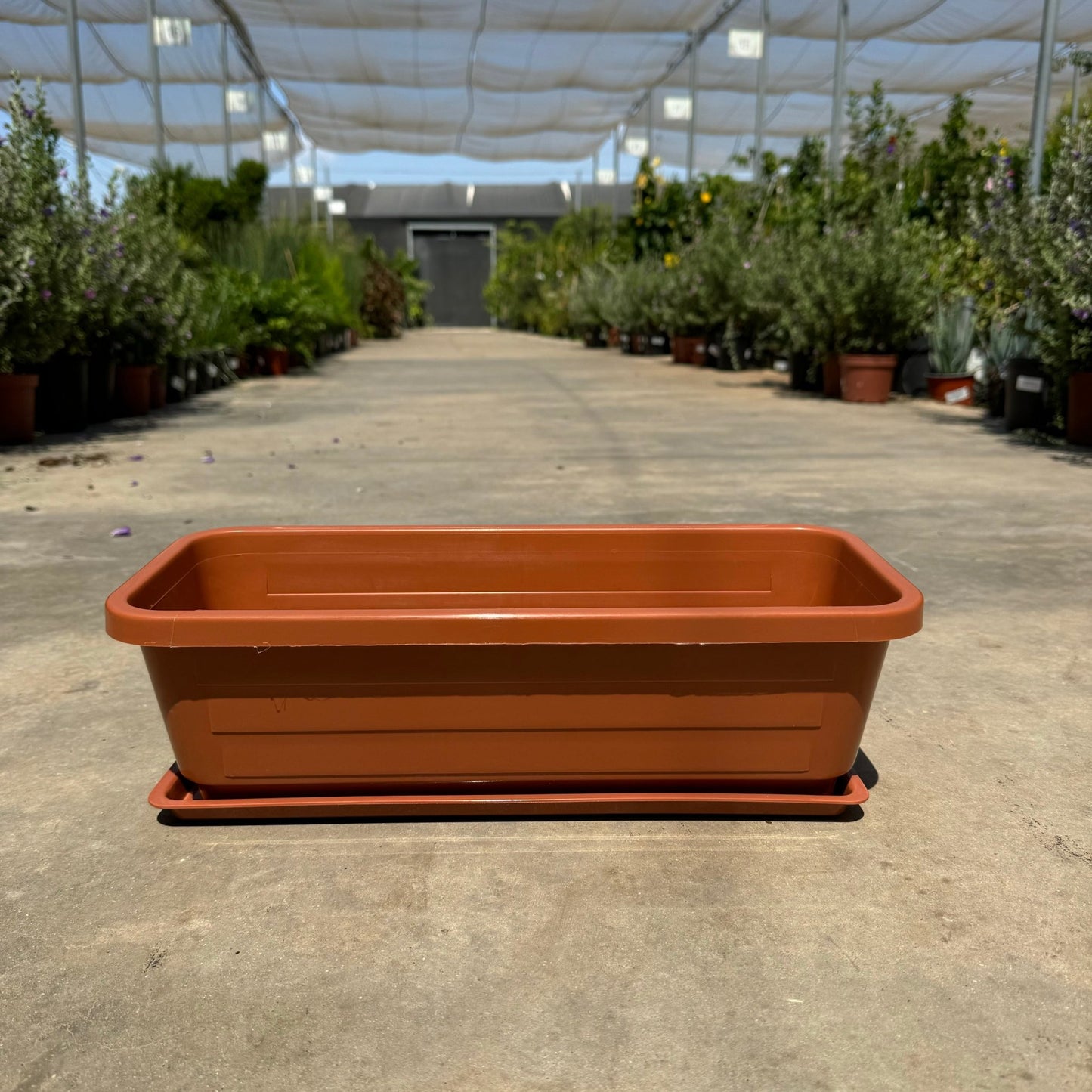 40 / 60 אדנית בייסיק מעוצבת רוחב - רוטין (ירוק במרפסת לשעבר)