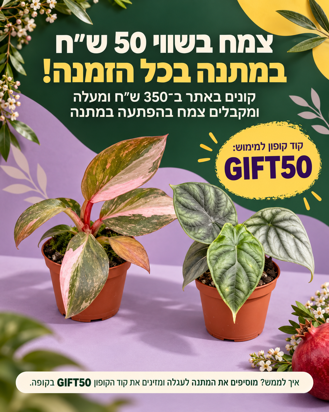 צמח בייבי בהפתעה במתנה