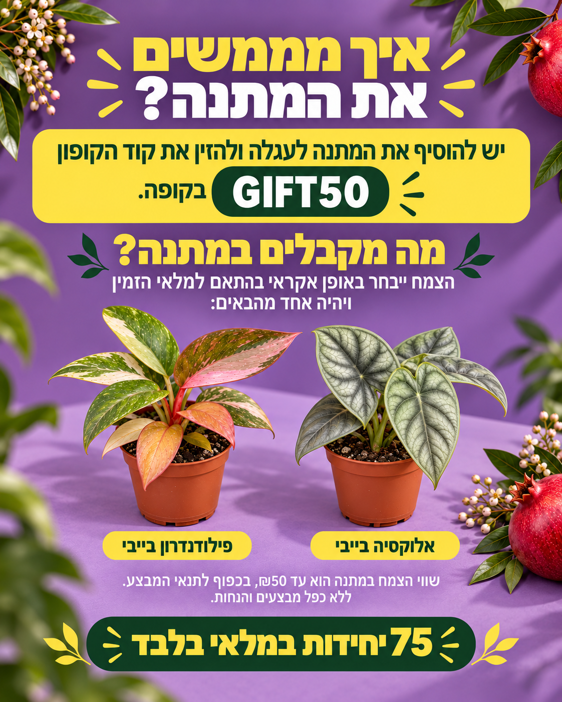 צמח בייבי בהפתעה במתנה