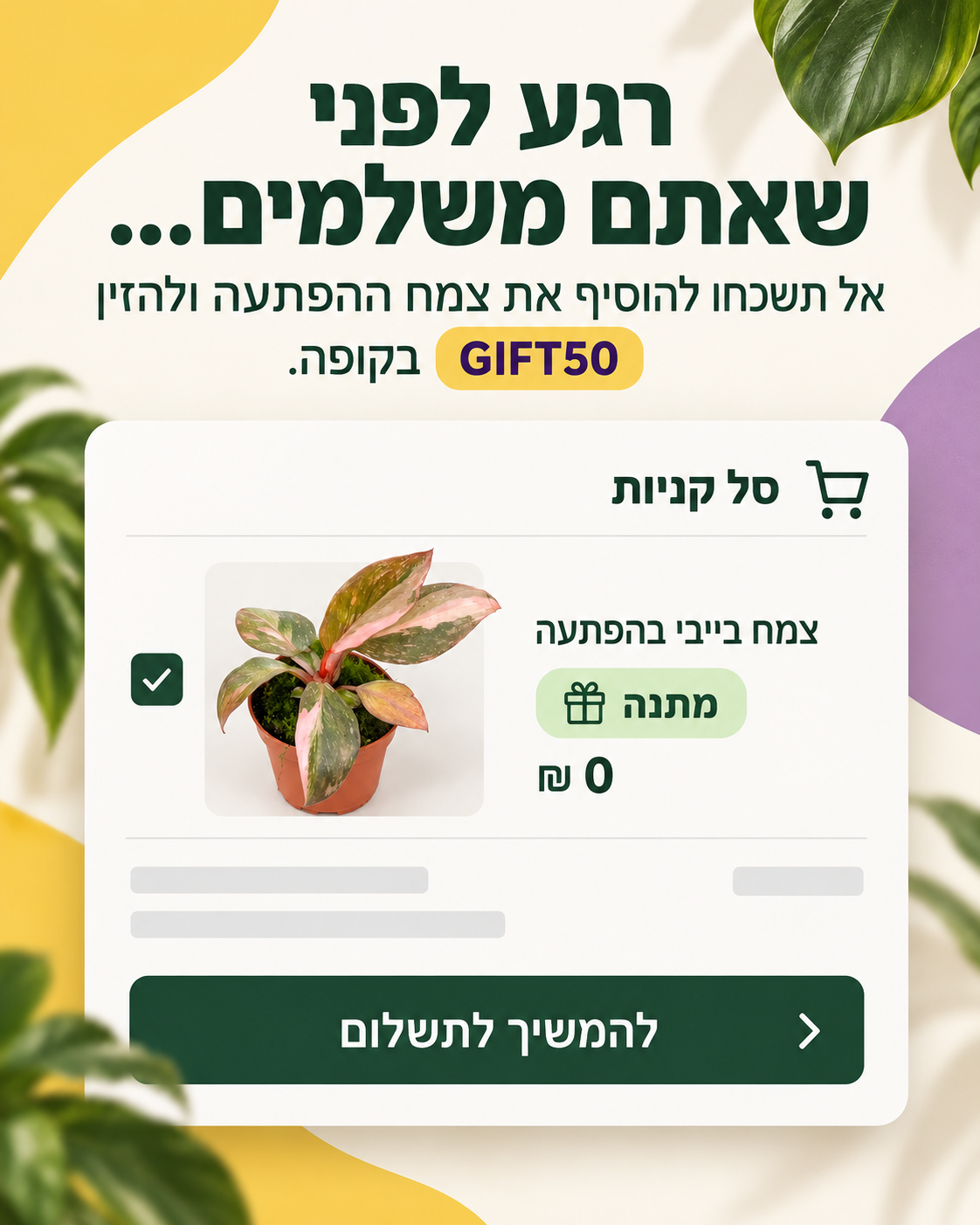 צמח בייבי בהפתעה במתנה