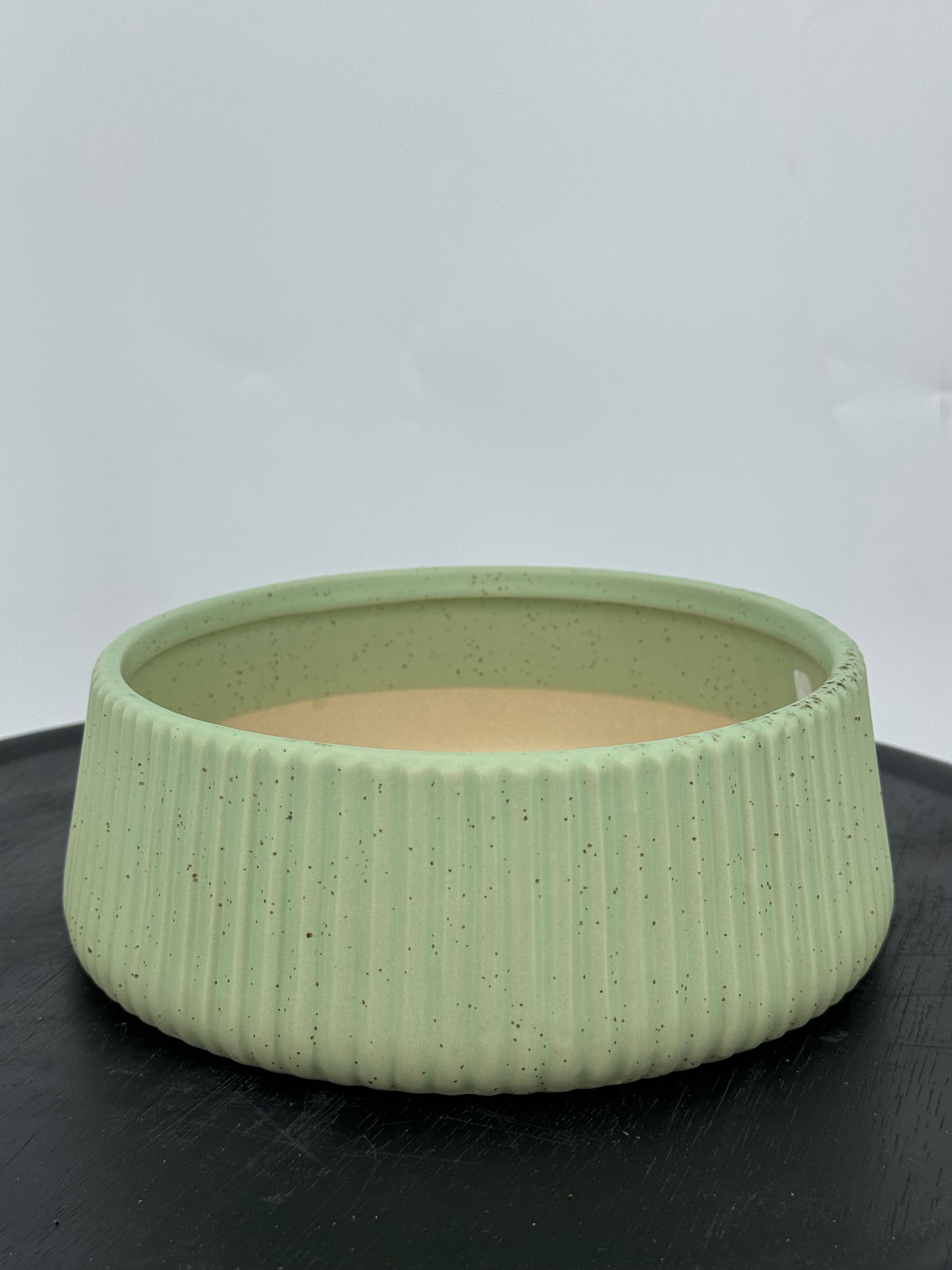 כד קקטוסים מעוצב ירוק קוטר 20ס״מ