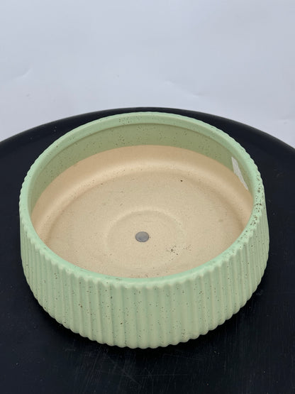 כד קקטוסים מעוצב ירוק קוטר 20ס״מ