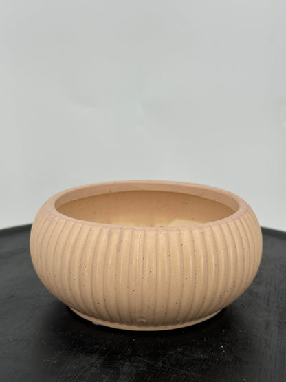 כד קקטוסים מעוצב ורוד קוטר 14 ס״מ