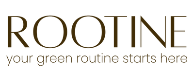 רוטין (ירוק במרפסת לשעבר)