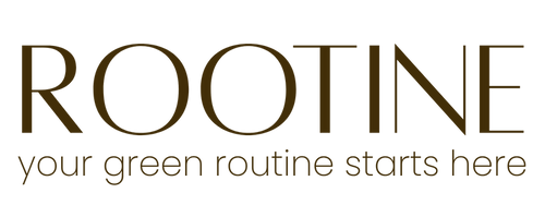 רוטין (ירוק במרפסת לשעבר)