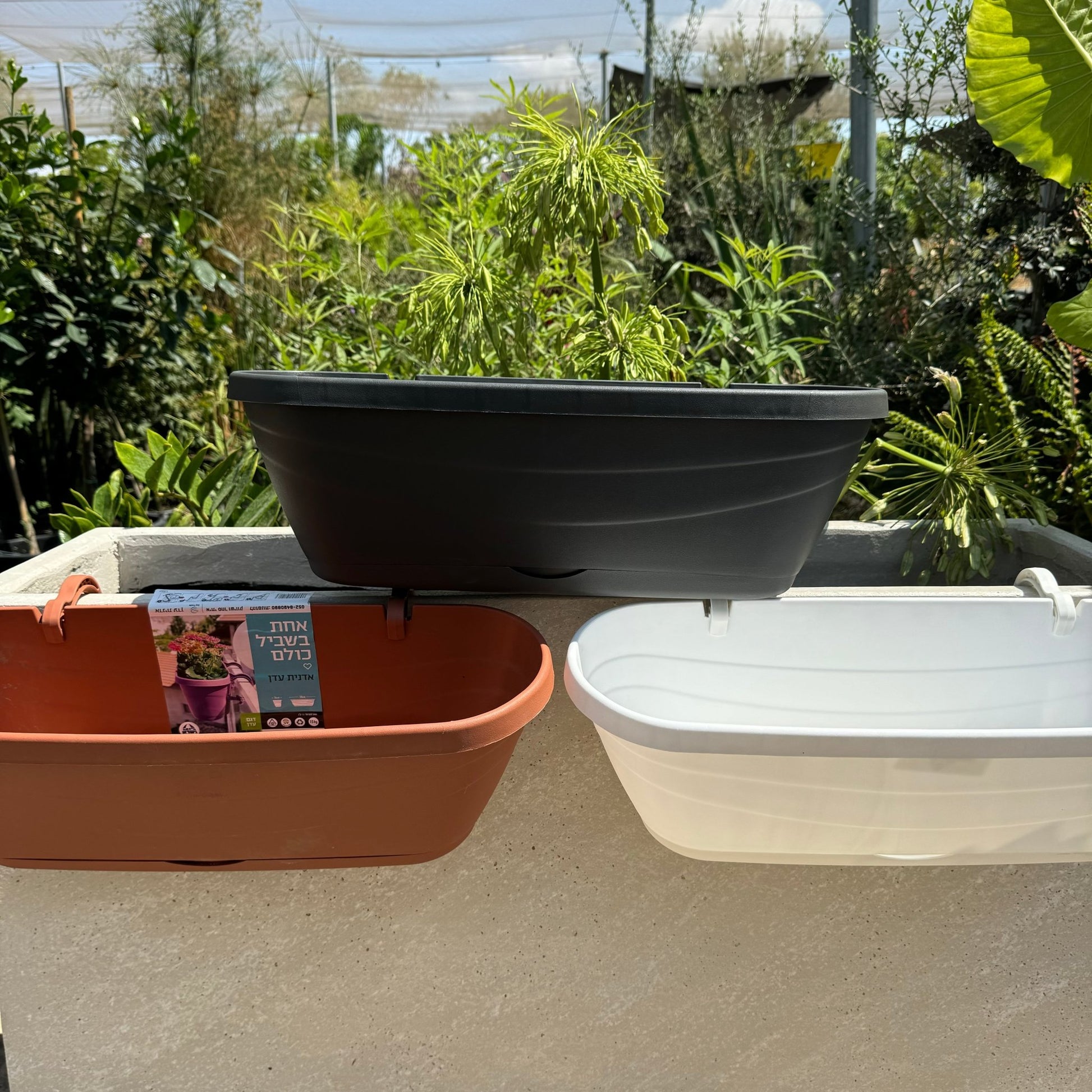 אדנית עם מתלים למעקה - רוטין (ירוק במרפסת לשעבר)