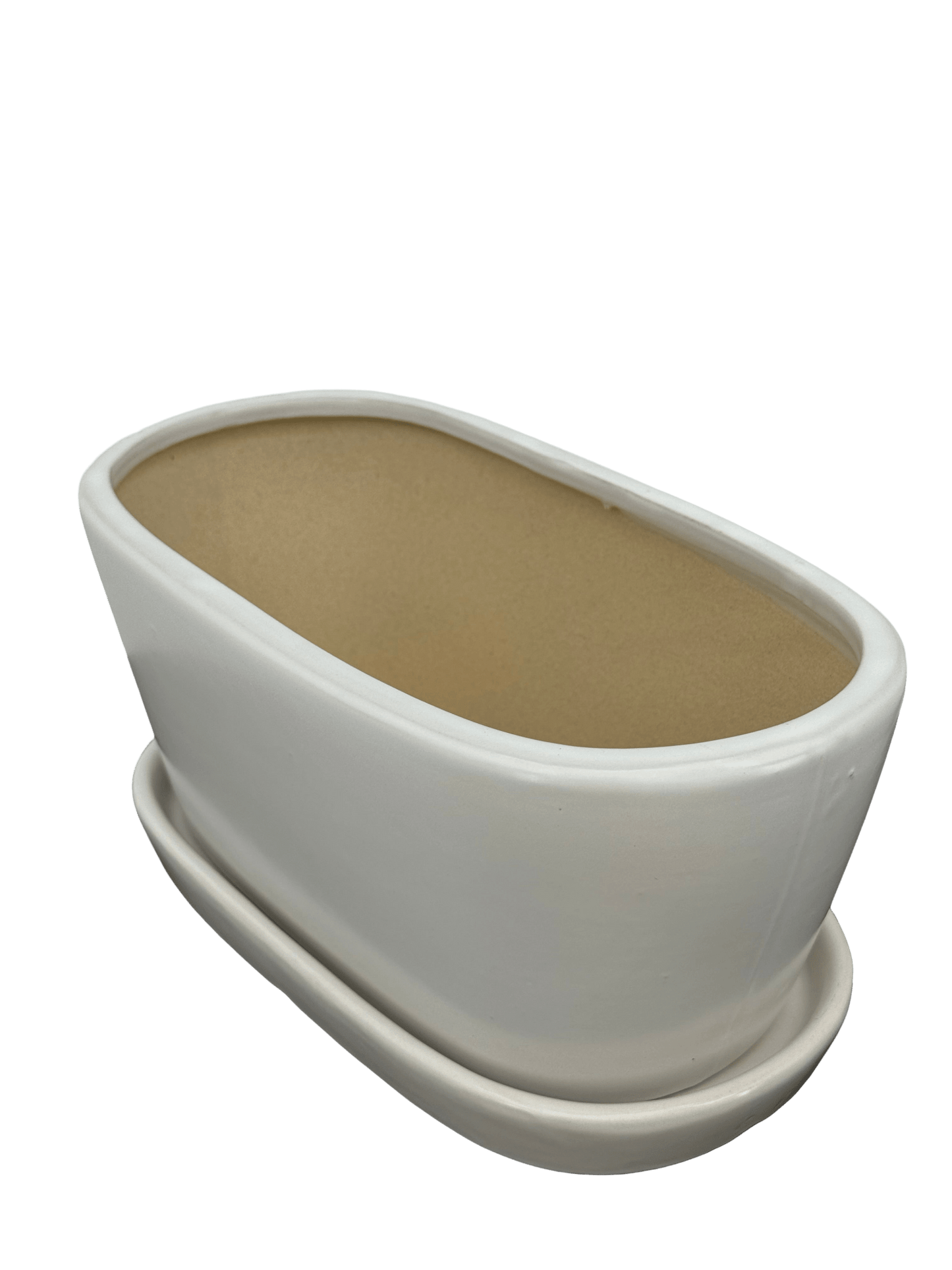 כד אליפסה לבן אורך 25 רוחב 13 - רוטין (ירוק במרפסת לשעבר)