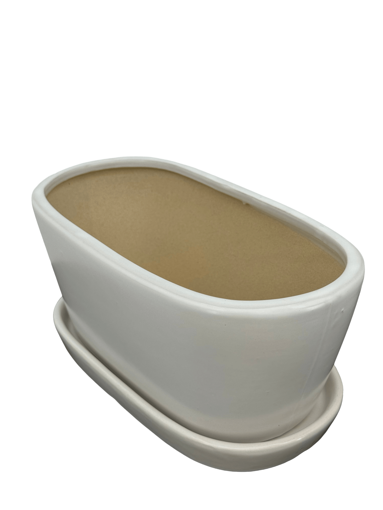 כד אליפסה לבן אורך 25 רוחב 13 - רוטין (ירוק במרפסת לשעבר)