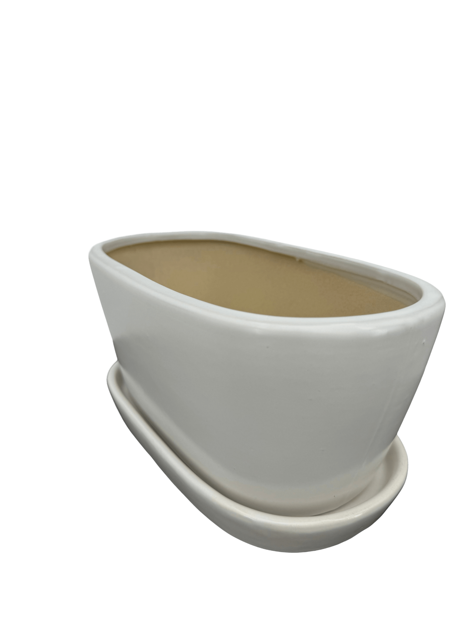 כד אליפסה לבן אורך 25 רוחב 13 - רוטין (ירוק במרפסת לשעבר)