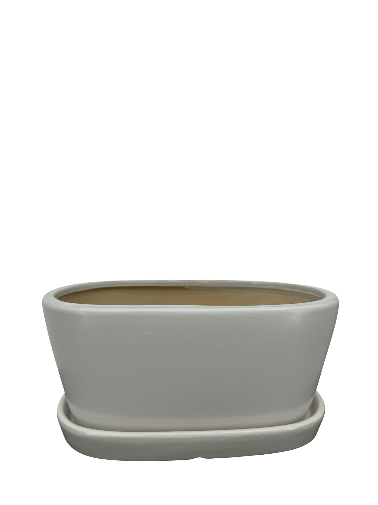 כד אליפסה לבן אורך 25 רוחב 13 - רוטין (ירוק במרפסת לשעבר)