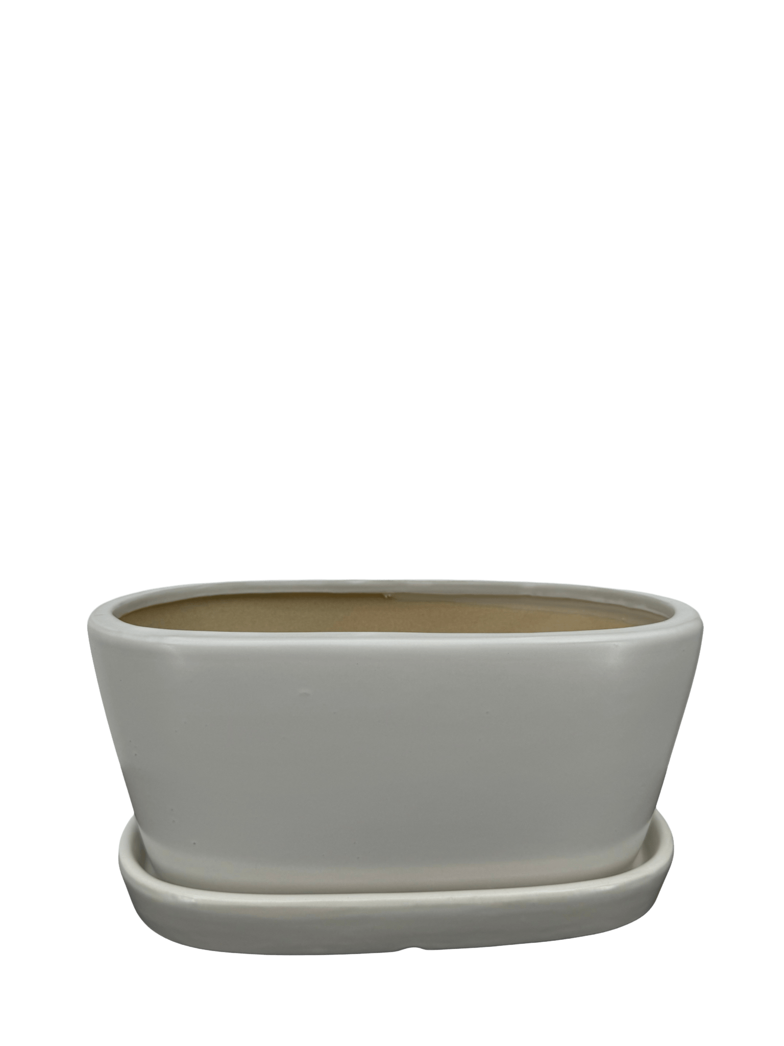 כד אליפסה לבן אורך 25 רוחב 13 - רוטין (ירוק במרפסת לשעבר)