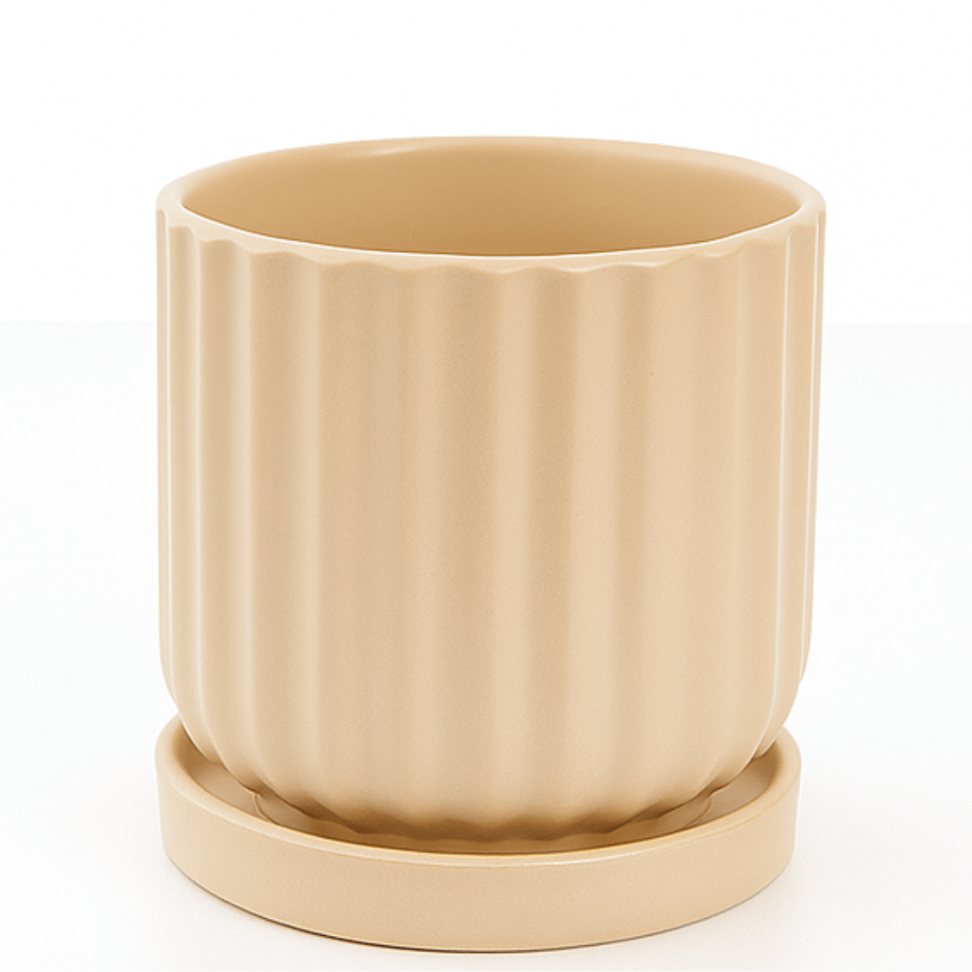 כד פסים בצבע שמנת קוטר 12 ס״מ - רוטין (ירוק במרפסת לשעבר)