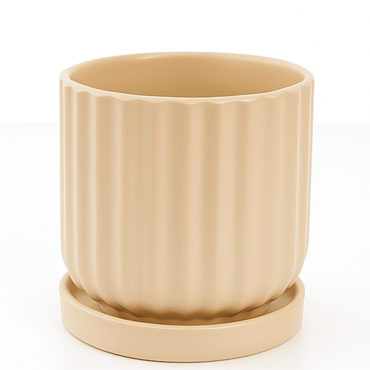 כד פסים בצבע שמנת קוטר 12 ס״מ - רוטין (ירוק במרפסת לשעבר)