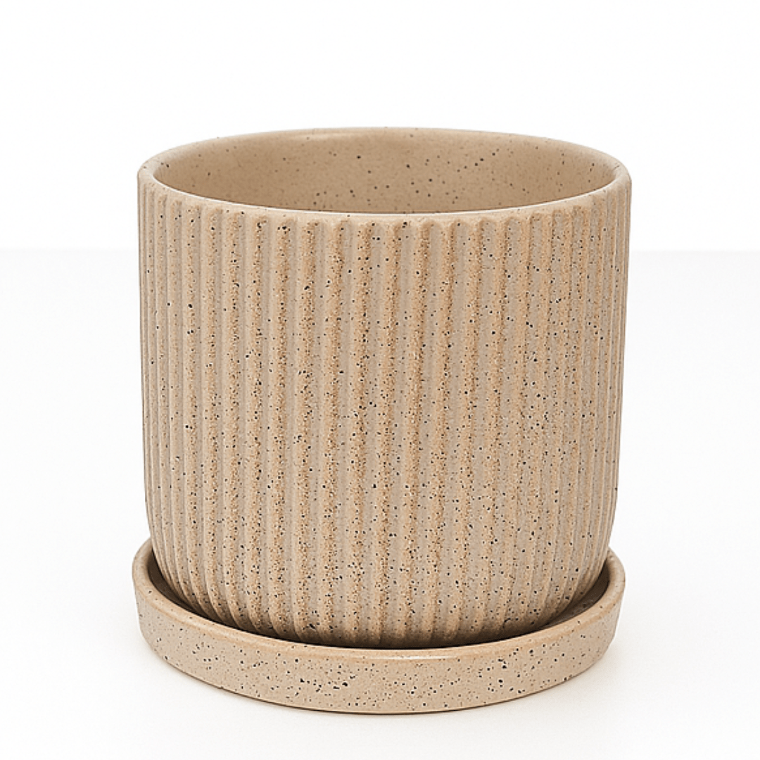 כד פסים בצבע חום בהיר קוטר 12 ס״מ - רוטין (ירוק במרפסת לשעבר)