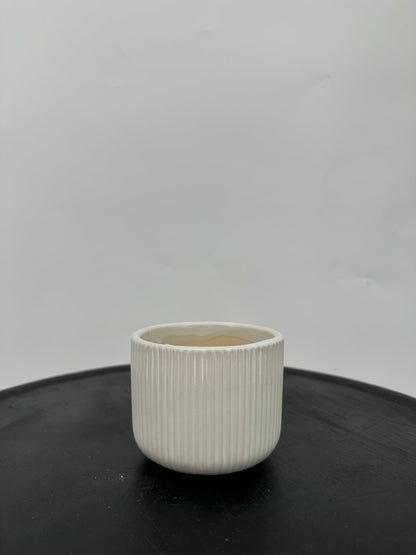 כד פסים לבן לקקטוס - קוטר 9ס״מ - רוטין (ירוק במרפסת לשעבר)