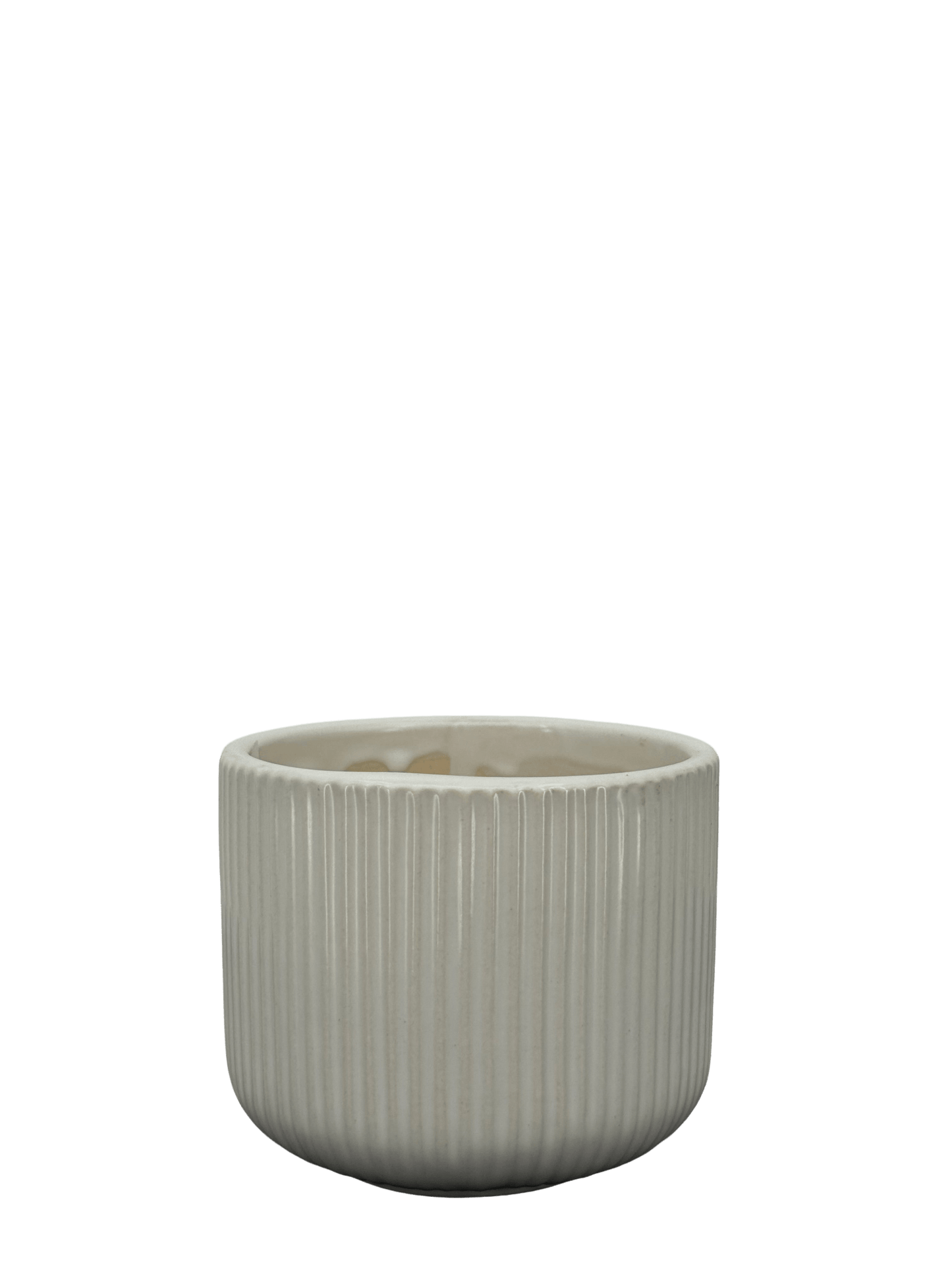 כד פסים לבן לקקטוס - קוטר 9ס״מ - רוטין (ירוק במרפסת לשעבר)