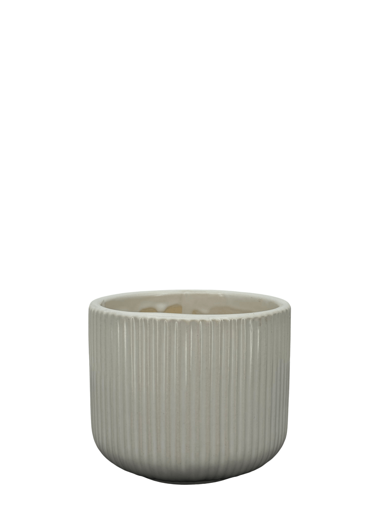 כד פסים לבן לקקטוס - קוטר 9ס״מ - רוטין (ירוק במרפסת לשעבר)