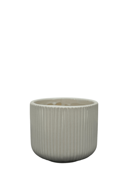 כד פסים לבן לקקטוס - קוטר 9ס״מ - רוטין (ירוק במרפסת לשעבר)