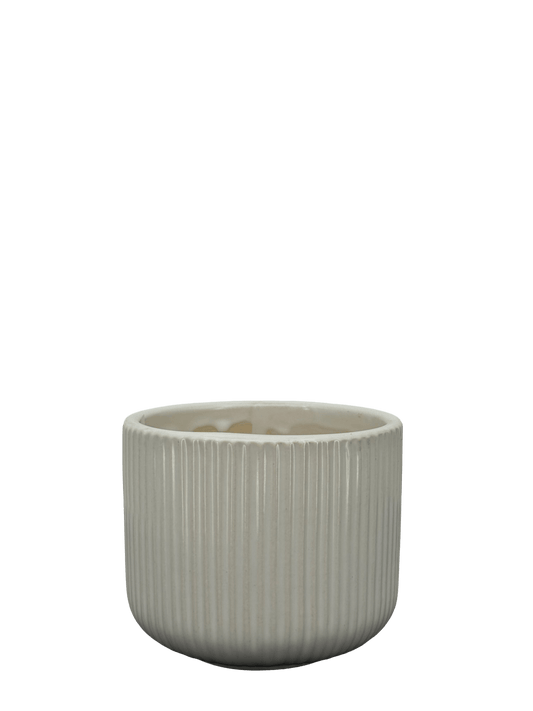 כד פסים לבן לקקטוס - קוטר 9ס״מ - רוטין (ירוק במרפסת לשעבר)