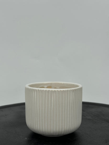 כד פסים לבן לקקטוס - קוטר 9ס״מ - רוטין (ירוק במרפסת לשעבר)