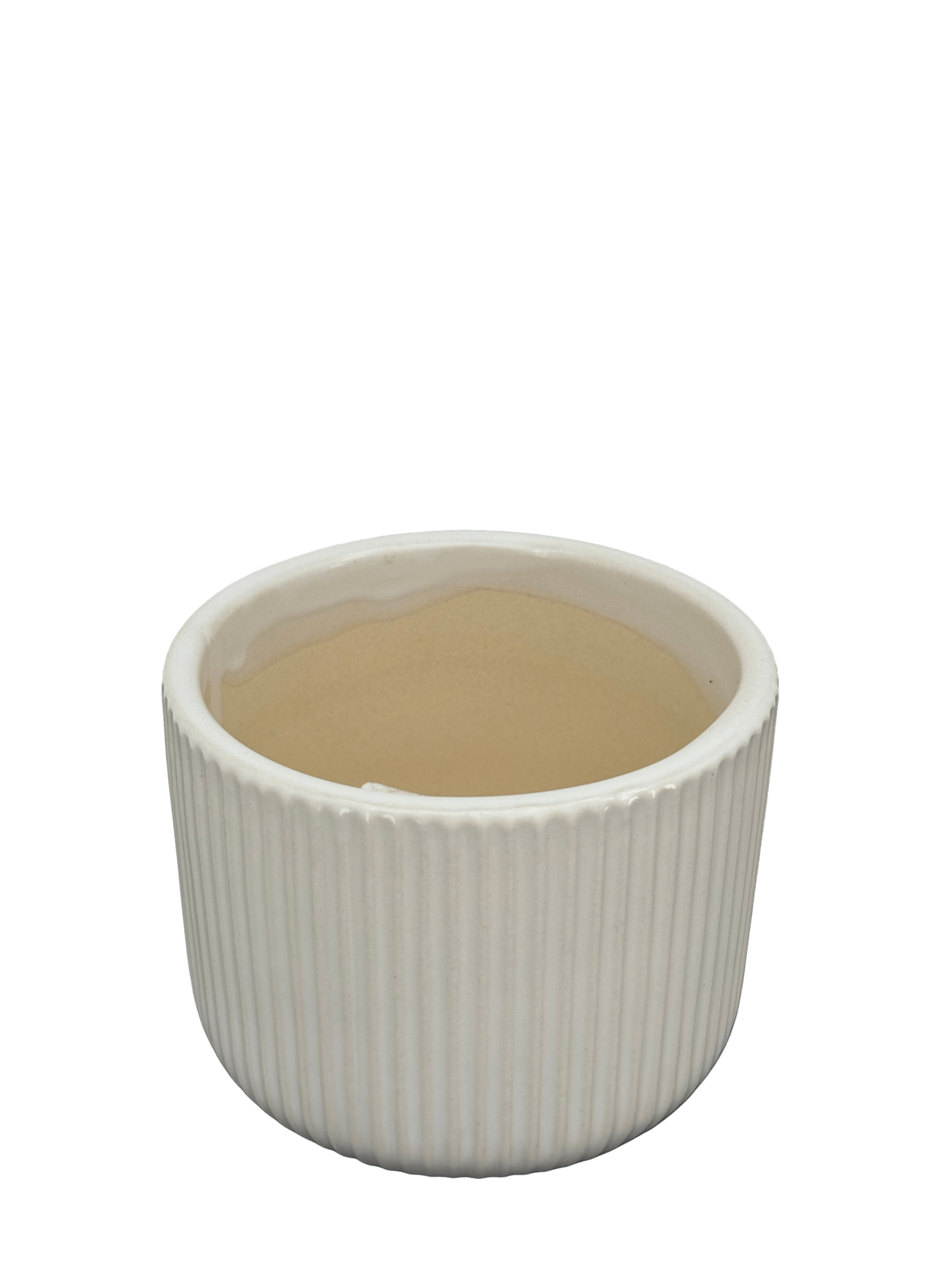 כד פסים לבן לקקטוס - קוטר 9ס״מ - רוטין (ירוק במרפסת לשעבר)