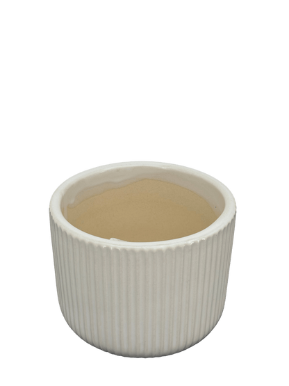 כד פסים לבן לקקטוס - קוטר 9ס״מ - רוטין (ירוק במרפסת לשעבר)