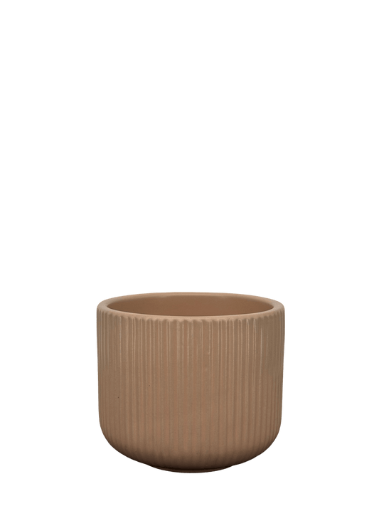 כד פסים ורוד לקקטוס - קוטר 9ס״מ - רוטין (ירוק במרפסת לשעבר)