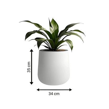 כד השקיה חכם במגוון גדלים - רוטין (ירוק במרפסת לשעבר)