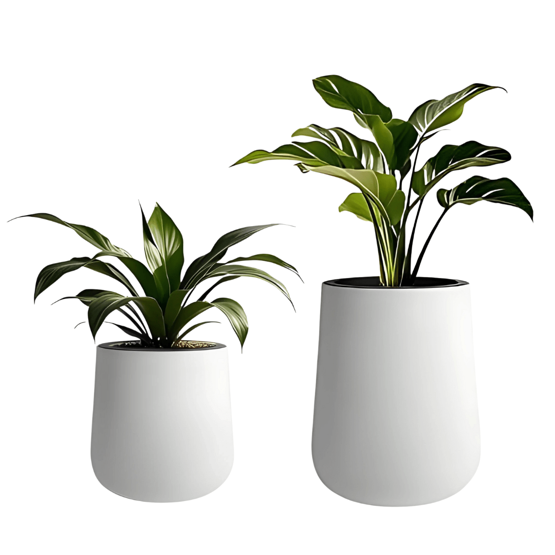 כד השקיה חכם במגוון גדלים - רוטין (ירוק במרפסת לשעבר)