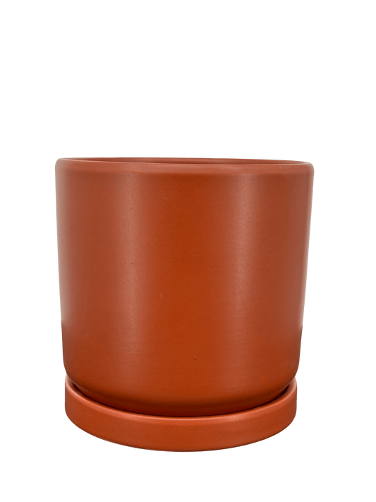 כד צילינדר אדום אדמה קוטר 13 ס״מ - רוטין (ירוק במרפסת לשעבר)