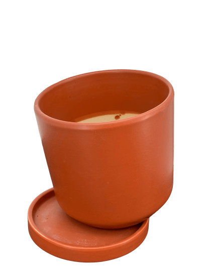 כד צילינדר אדום אדמה קוטר 13 ס״מ - רוטין (ירוק במרפסת לשעבר)