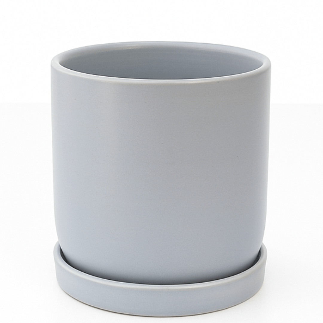 כד צילינדר בצבע אפור קוטר 12 ס״מ - רוטין (ירוק במרפסת לשעבר)