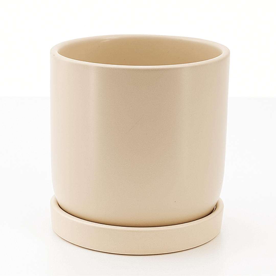 כד צילינדר בצבע שמנת קוטר 12 ס״מ - רוטין (ירוק במרפסת לשעבר)