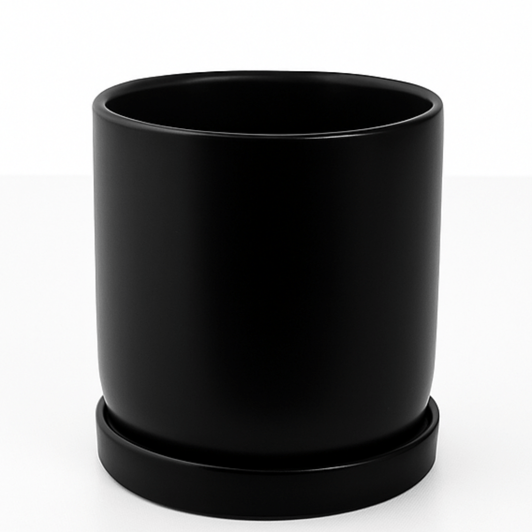 כד צילינדר בצבע שחור קוטר 12 ס״מ - רוטין (ירוק במרפסת לשעבר)