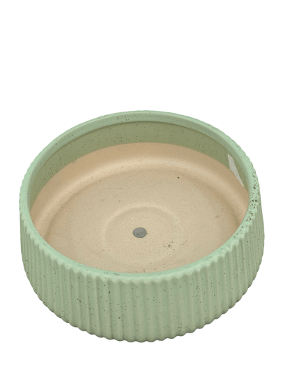 כד קקטוסים מעוצב ירוק קוטר 20ס״מ - רוטין (ירוק במרפסת לשעבר)