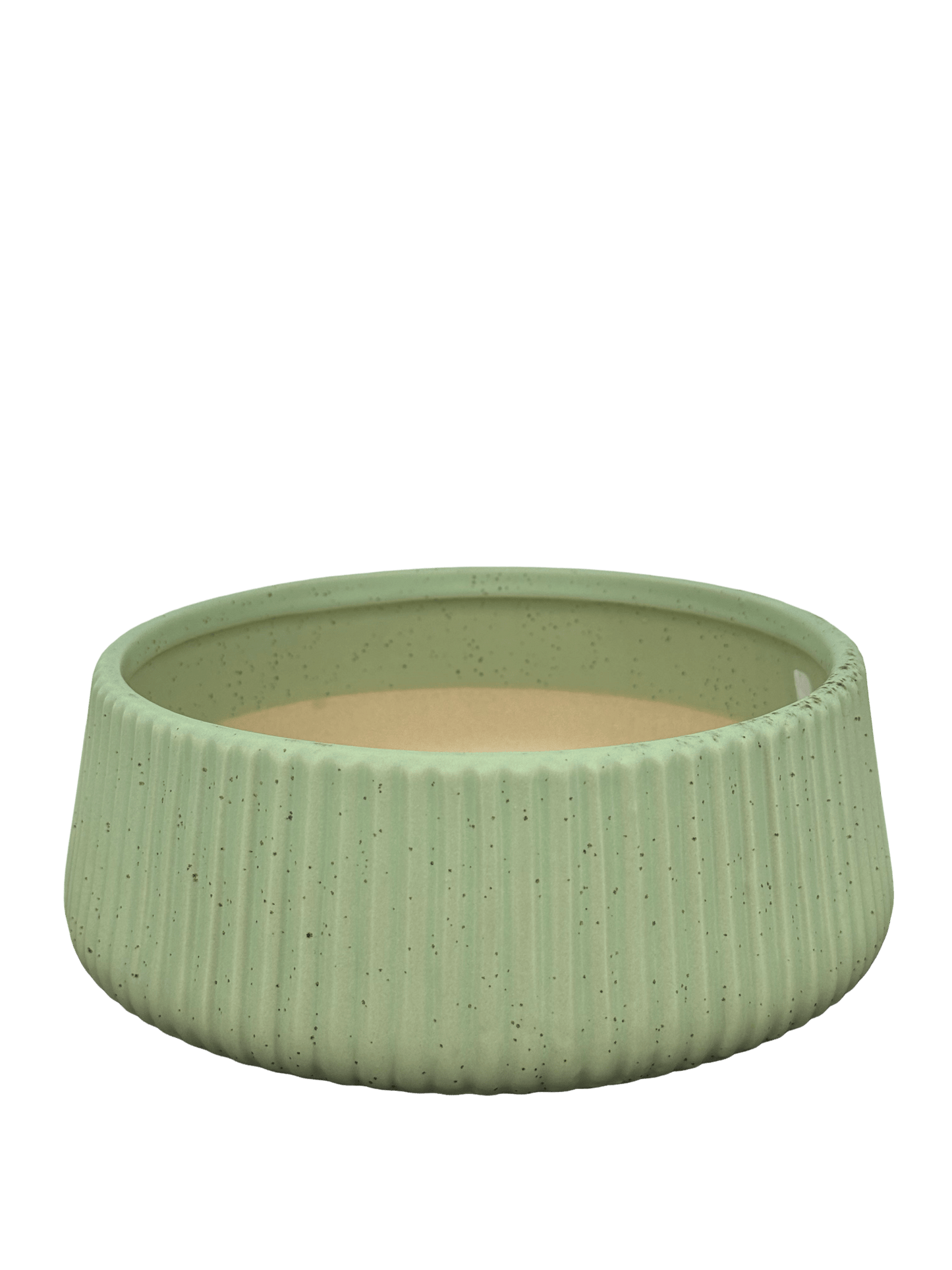 כד קקטוסים מעוצב ירוק קוטר 20ס״מ - רוטין (ירוק במרפסת לשעבר)