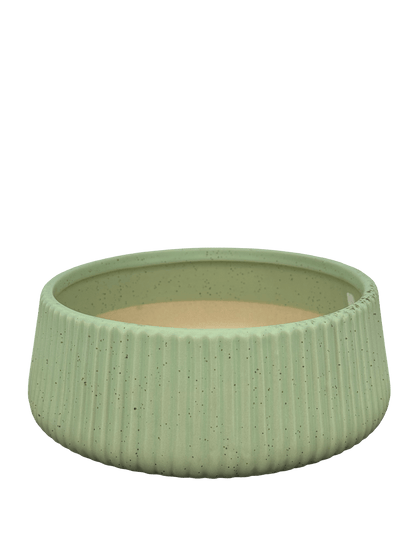 כד קקטוסים מעוצב ירוק קוטר 20ס״מ - רוטין (ירוק במרפסת לשעבר)