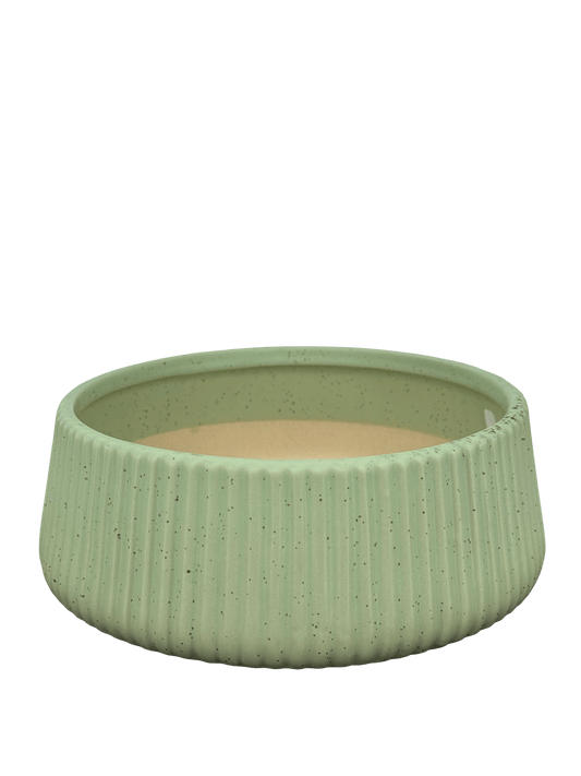 כד קקטוסים מעוצב ירוק קוטר 20ס״מ - רוטין (ירוק במרפסת לשעבר)