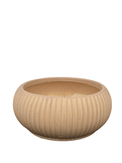 כד קקטוסים מעוצב ורוד קוטר 14 ס״מ - רוטין (ירוק במרפסת לשעבר)